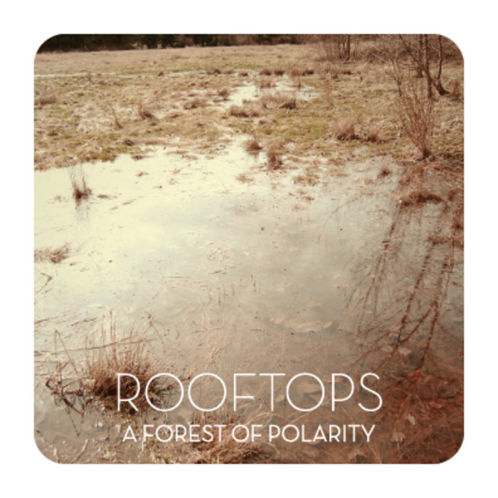 Cover for A Forest Of Polarity